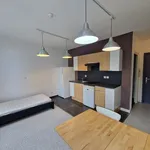 Huur 1 slaapkamer appartement in Mons