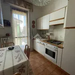 Rent 3 bedroom apartment of 80 m² in Novara