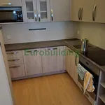 Rent 4 bedroom apartment of 63 m² in Praha 11