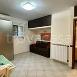 Rent 1 bedroom apartment of 23 m² in Roma