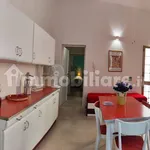 Rent 2 bedroom apartment of 55 m² in Lecce