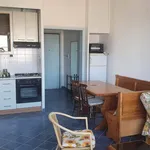 Rent 3 bedroom apartment of 60 m² in Roma