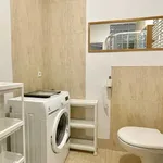 Rent 1 bedroom apartment of 22 m² in Poznan