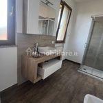 Rent 3 bedroom apartment of 65 m² in Biella