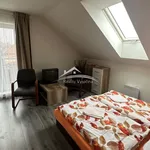 Rent 1 bedroom apartment of 20 m² in Telč