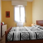 Rent 2 bedroom apartment of 75 m² in Bologna