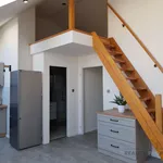 Rent 3 bedroom apartment of 75 m² in Hodonín