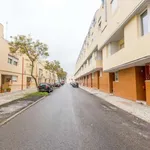 Rent 2 bedroom apartment in Lisbon