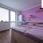 Pronajměte si 2 ložnic/e byt o rozloze 46 m² v Žďár nad Sázavou