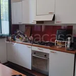 Rent 1 bedroom apartment of 45 m² in Milano