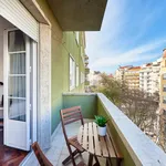 Rent 7 bedroom apartment in Lisbon