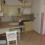 Rent 3 bedroom apartment of 80 m² in Genoa