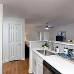 Rent 1 bedroom apartment in Denton