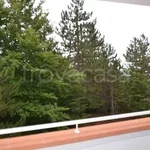 Rent 3 bedroom apartment of 52 m² in Ovindoli