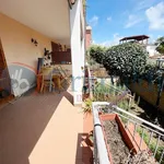 Rent 2 bedroom apartment of 50 m² in Roma