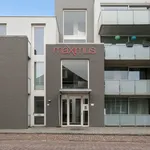 Rent 1 bedroom apartment of 53 m² in Tilburg