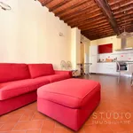 Rent 2 bedroom apartment of 60 m² in Pistoia