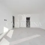 Rent 4 bedroom apartment of 195 m² in Roma