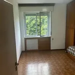 Rent 3 bedroom apartment of 90 m² in Milan