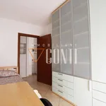 Rent 3 bedroom apartment of 80 m² in Varese