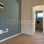 Rent 2 bedroom apartment of 61 m² in Mantova