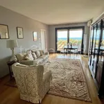 Rent 4 bedroom apartment of 178 m² in Desenzano del Garda