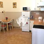 Rent 1 bedroom house of 50 m² in Debrecen