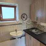 Rent 1 bedroom apartment of 25 m² in Králův Dvůr