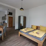 Rent 1 bedroom apartment of 34 m² in Leipzig