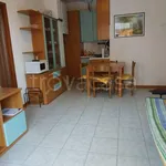 Rent 2 bedroom apartment of 50 m² in Ravenna