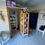 Rent 1 bedroom apartment of 30 m² in Anguillara Sabazia