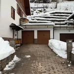 Rent 4 bedroom apartment of 110 m² in Ponte di Legno