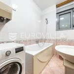 Rent 4 bedroom apartment of 230 m² in Zagreb