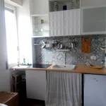 Rent 1 bedroom apartment in Milan