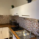 Rent 1 bedroom apartment of 34 m² in Ostrava