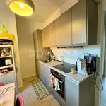 Rent 1 bedroom apartment of 40 m² in Milano