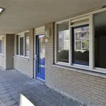 Rent 2 bedroom apartment of 77 m² in Valkenswaard