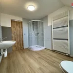 Rent 4 bedroom apartment of 90 m² in Chářovice