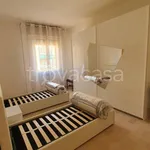 Rent 3 bedroom apartment of 75 m² in Bologna