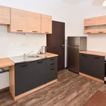 Rent 1 bedroom apartment of 37 m² in Sázava