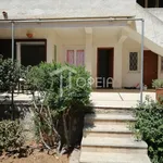 Rent 1 bedroom apartment of 55 m² in Agia Marina