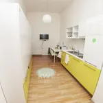 Rent 1 bedroom apartment of 55 m² in Brno