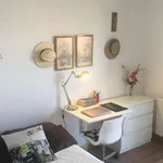 Rent a room in madrid