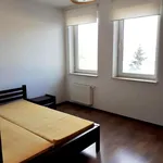 Rent 3 bedroom apartment of 81 m² in Poznan