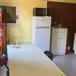 Rent 3 bedroom apartment of 80 m² in Bologna