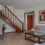 Rent a room in madrid