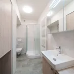 Rent 2 bedroom apartment of 57 m² in Jindřichův Hradec