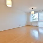 Rent 3 bedroom apartment in Brno