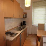 Rent 1 bedroom apartment of 50 m² in Nuremberg