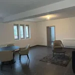 Rent 4 bedroom apartment of 100 m² in Villers-lès-Nancy